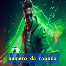 numero da raposa jogo do bicho